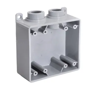 1" Weatherproof Box Two Gang FSS Type 1299 (Pack of 10)