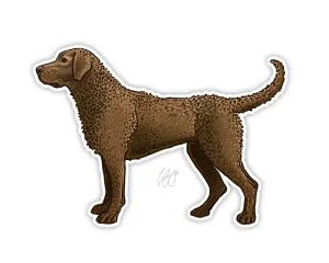 Chesapeake Bay Retriever Decal