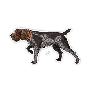 German Wiredhaired Griffon Sticker