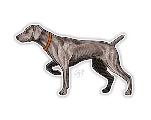 Weimaraner Decal