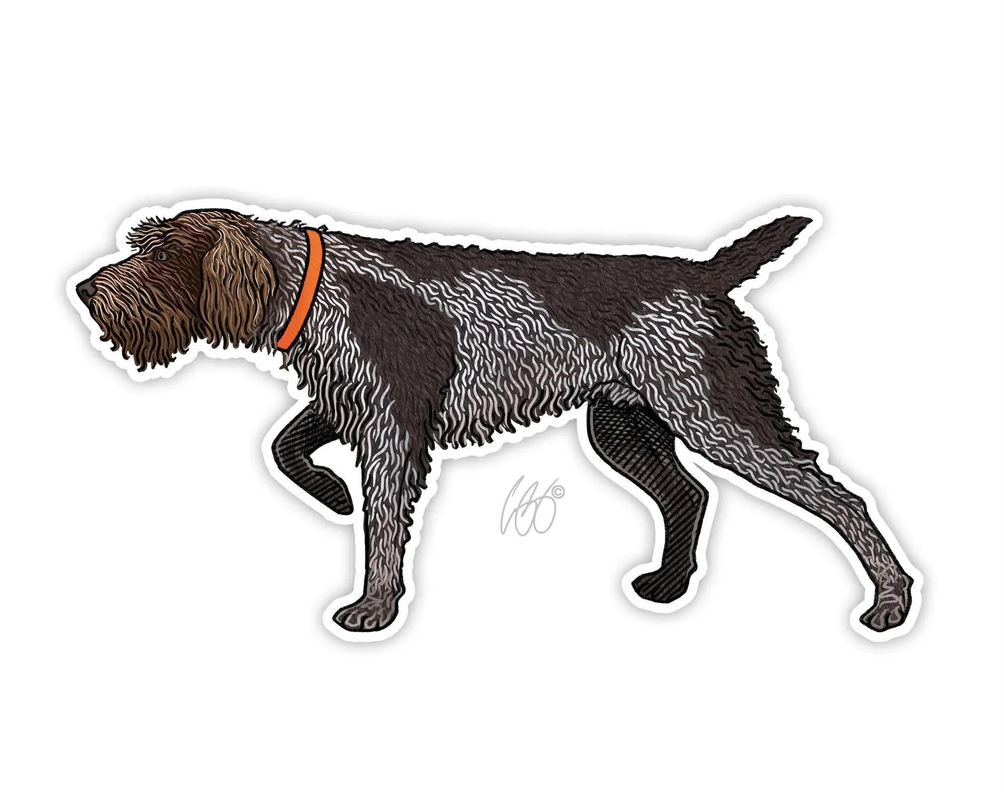 Wirehaired Pointing Griffon Decal