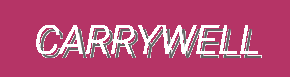 CarryWell | Functional Favorites, Everyday Must-Haves & Explore More Travel Gear